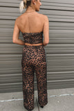 Night Out Leopard Stripe Pants