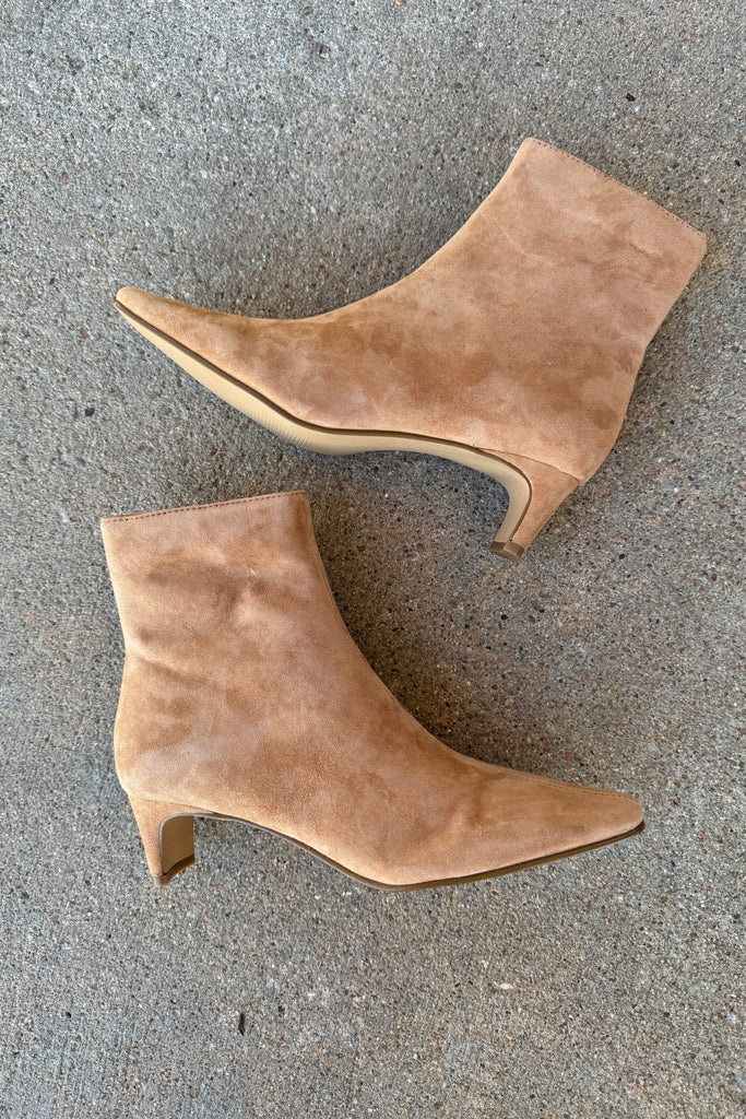 Steve Madden Delvie- Chesnut