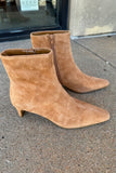 Steve Madden Delvie- Chesnut